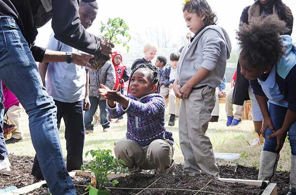 child digging in a community garden